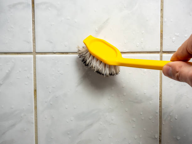 Certified Mold Removal in Dubuque, IA
