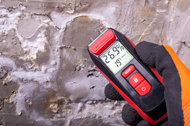 Best Professional Mold Removal  in Dubuque, IA