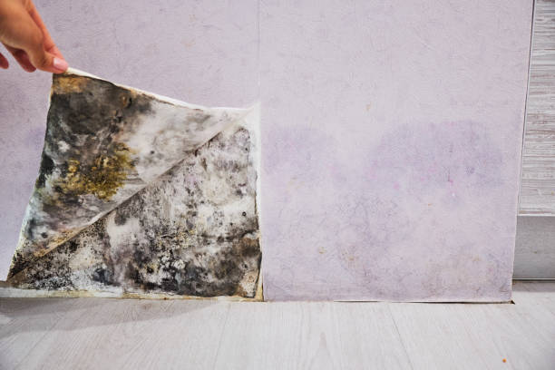 Water Damage Restoration in Dubuque, IA